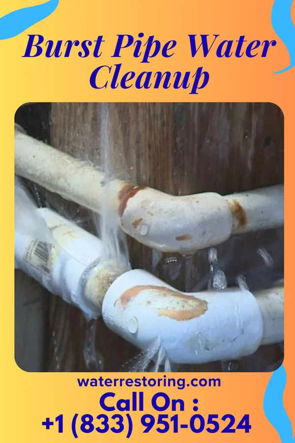Burst Pipe Water Cleanup in Wellston, OH