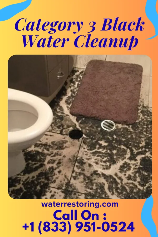 Category 3 Black Water Cleanup in Wellston, OH