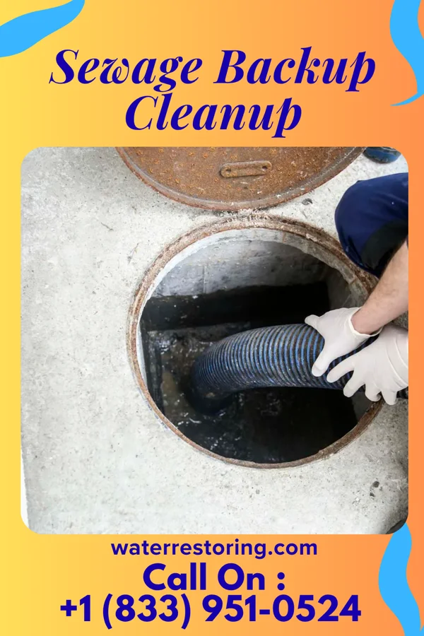 Sewage Backup Cleanup in Wellston, OH
